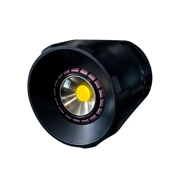 Picture of the Rayfin Trench LED