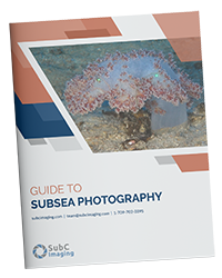 Front cover of subsea photography guide