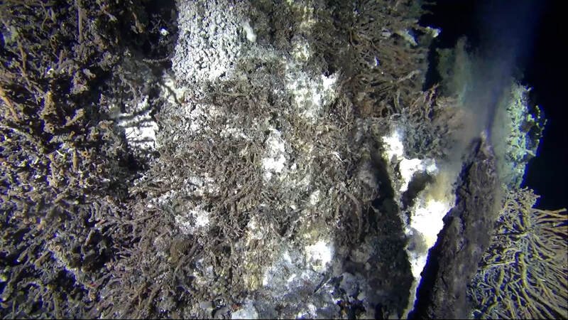 subsea hydrothermal vent