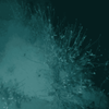 How to Choose the Right Underwater Laser for Inspection and Survey ...