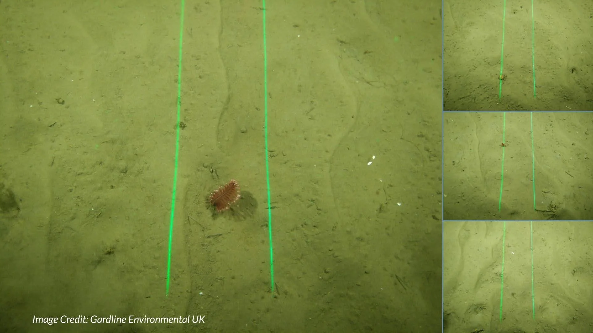 Footage of SubC Imaging's parallel subsea lasers