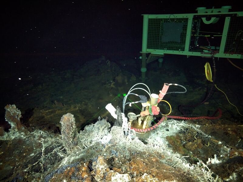 subsea hydrothermal vent ocean observatory