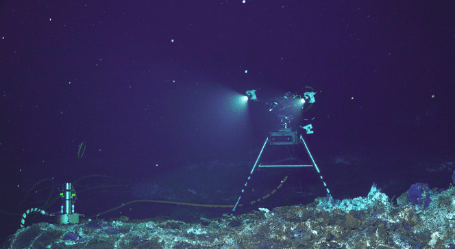 Underwater camera on a mount