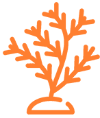 Orange coral reef icon