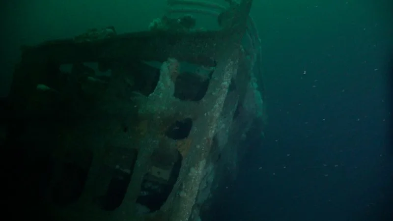 Importance of Underwater Low-Light Capabilities in a Subsea Camera ...