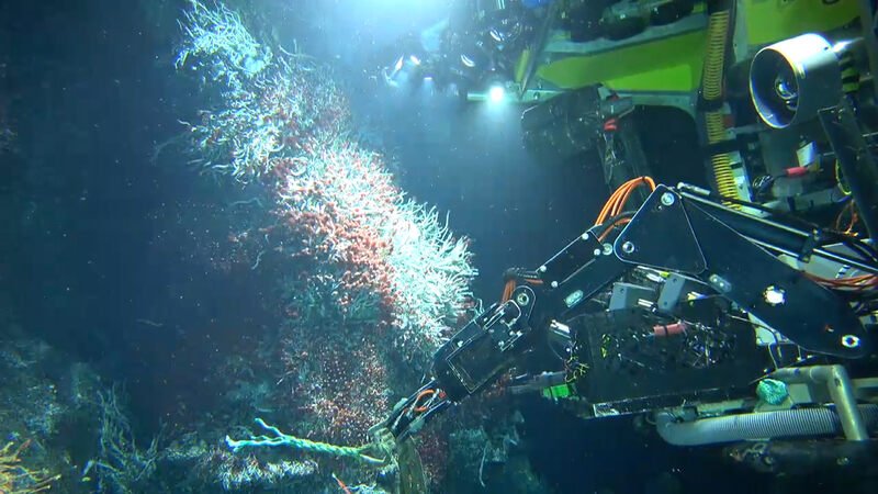 rov surveying hydrothermal vent