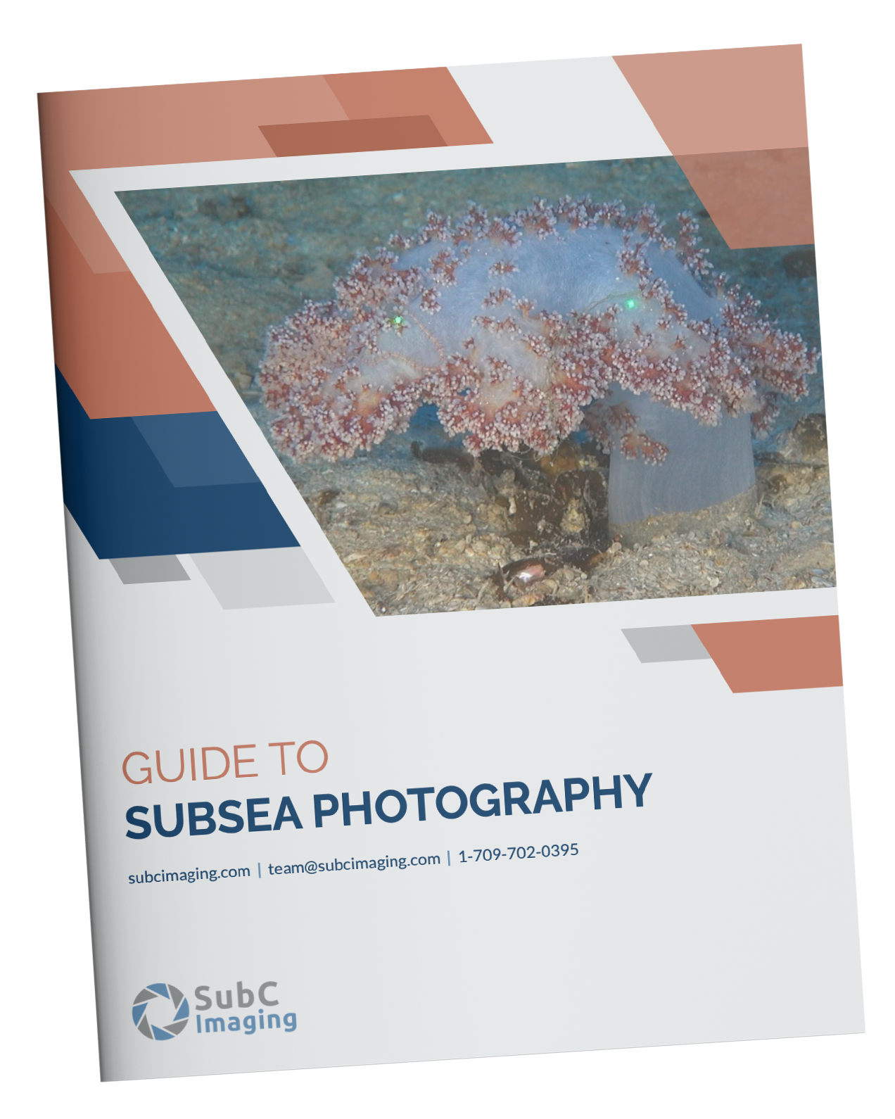 Front cover of guide to subsea photography