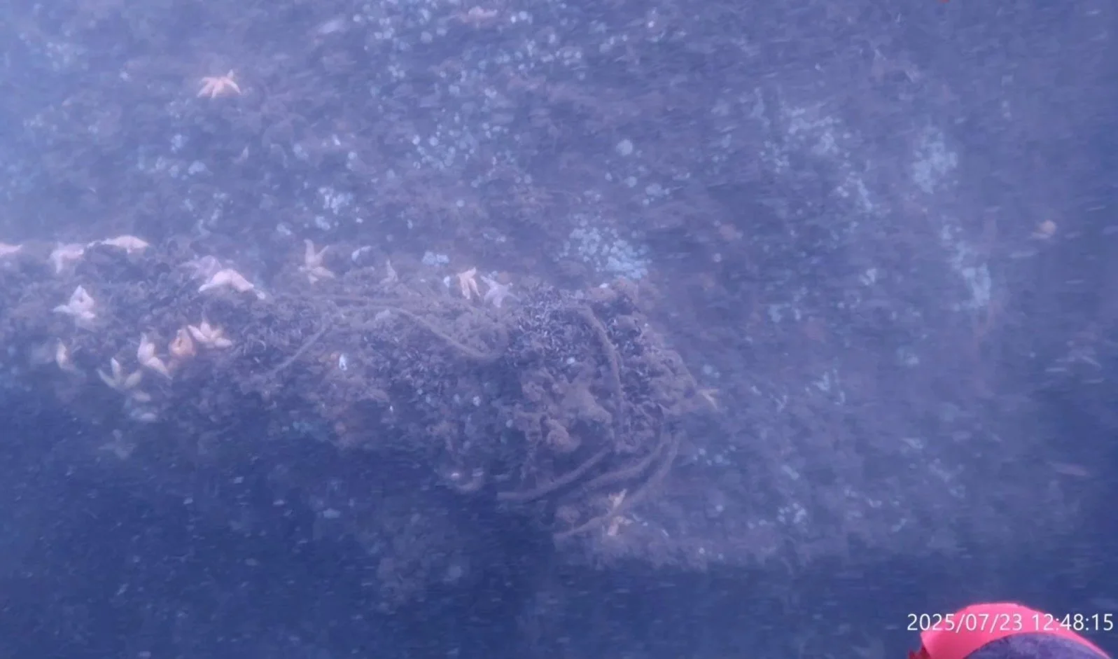 Picture of footage from the Rayfin Uplink in action underwater