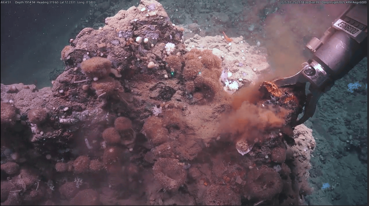 ROV arm collecting sample from coral-covered seafloor, stirring up sediment
