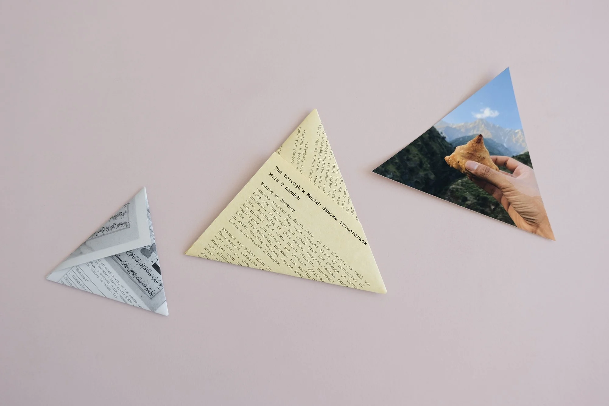 samosa 2 copy.jpg