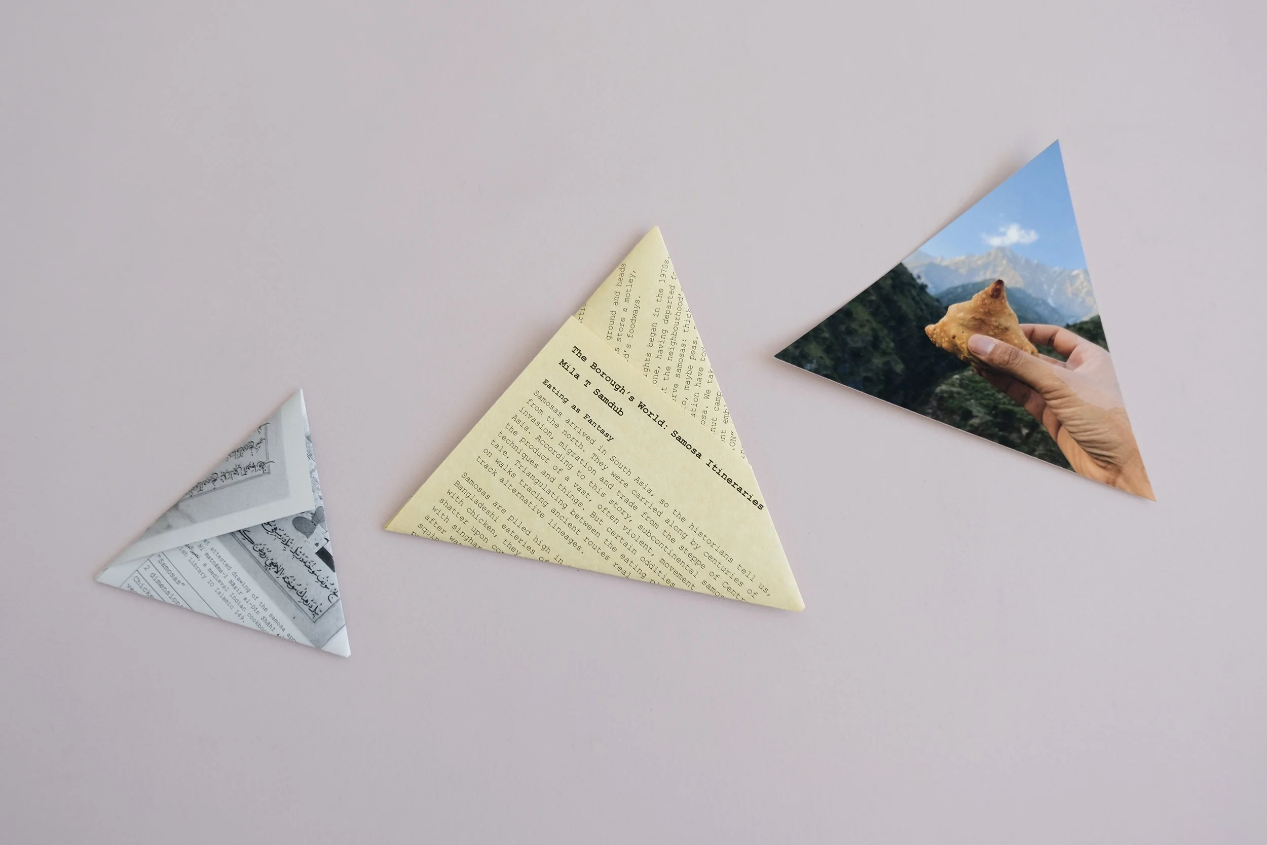 samosa 2 copy.jpg