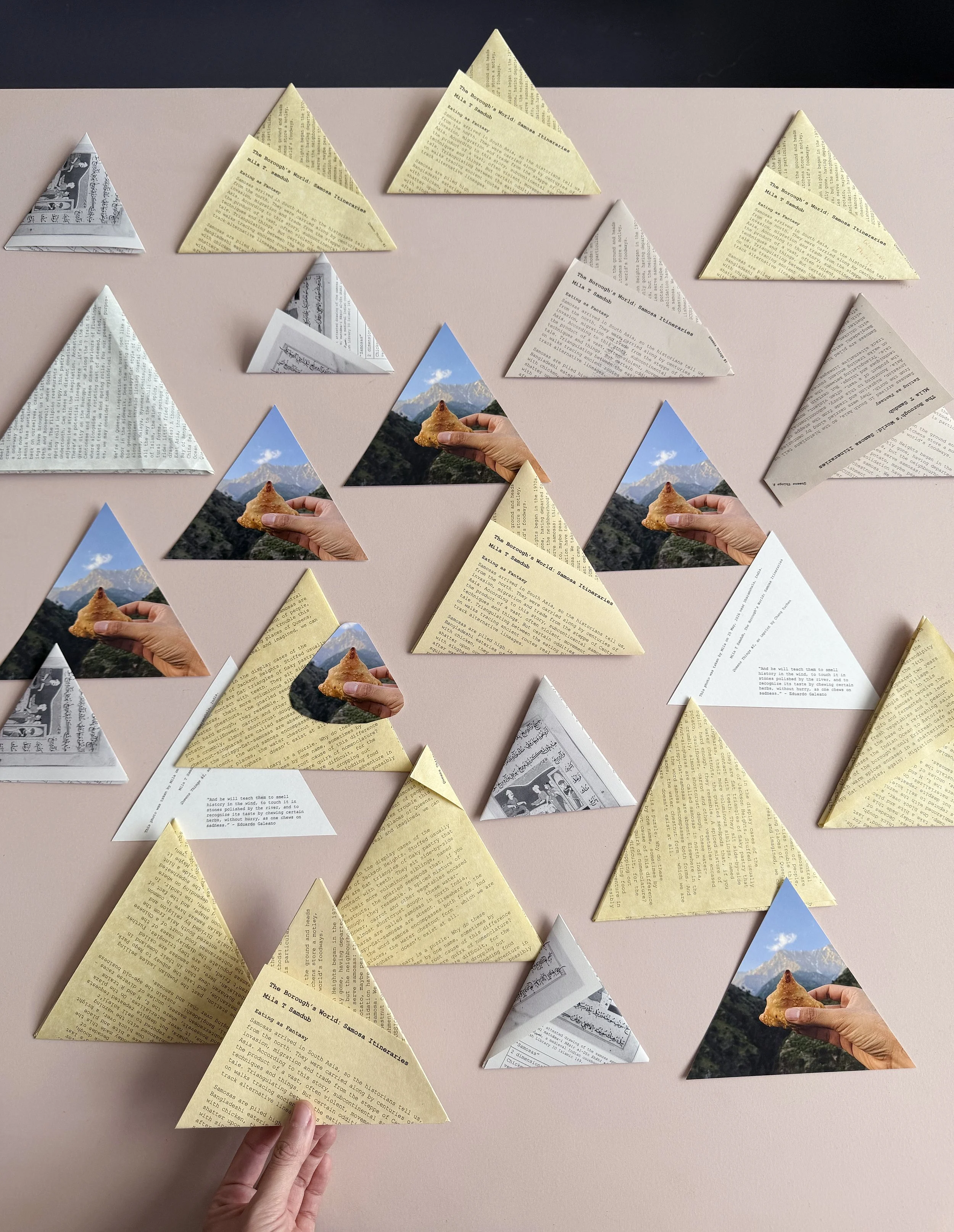 samosa 10.jpg