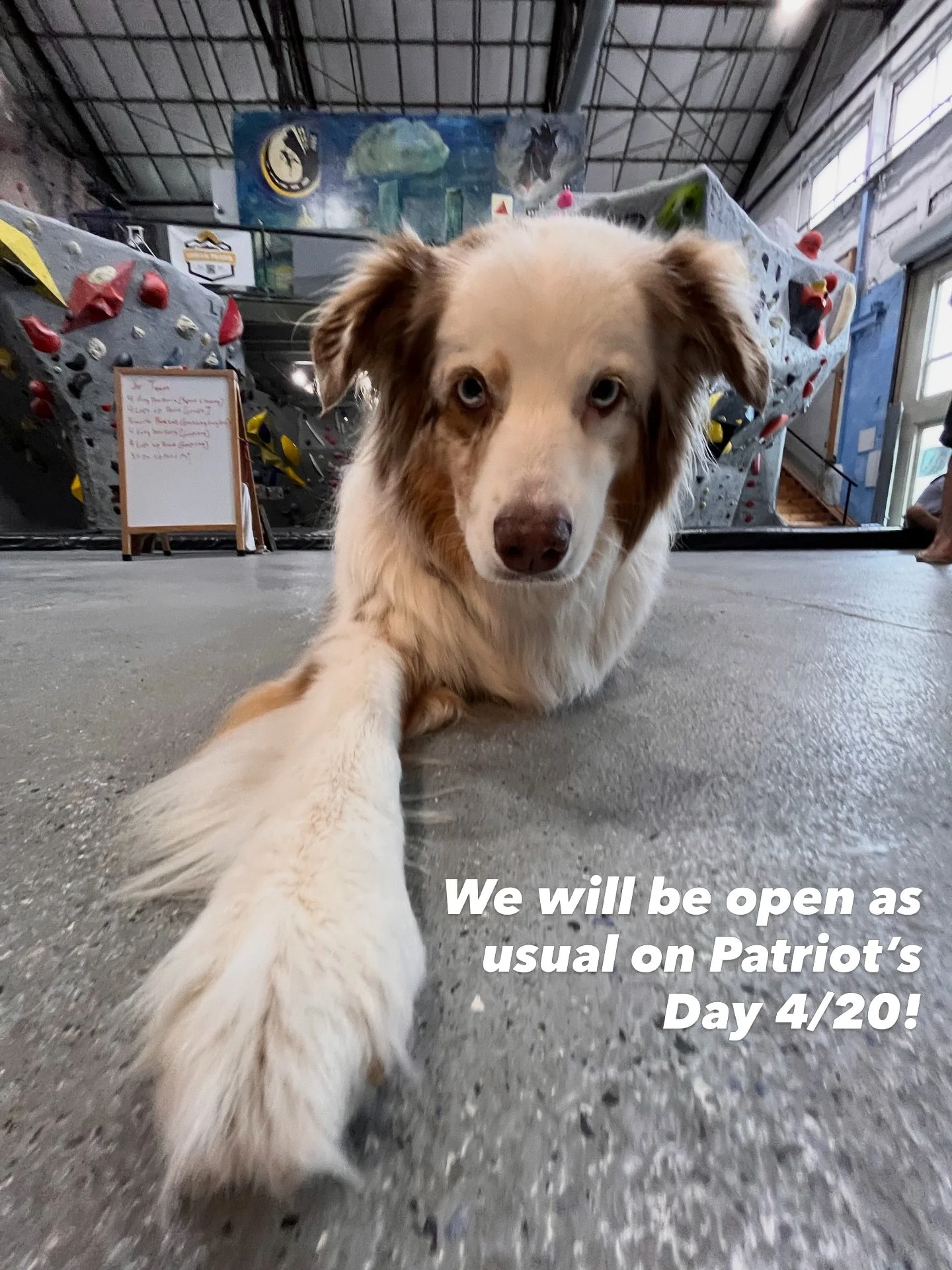 🤗Happy 4/20 marathon monday patriots day! If you wanna escape the crowds, come climb with us!