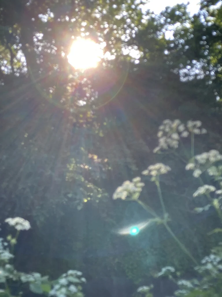 Gnossienne No. 1, by Erik Satie