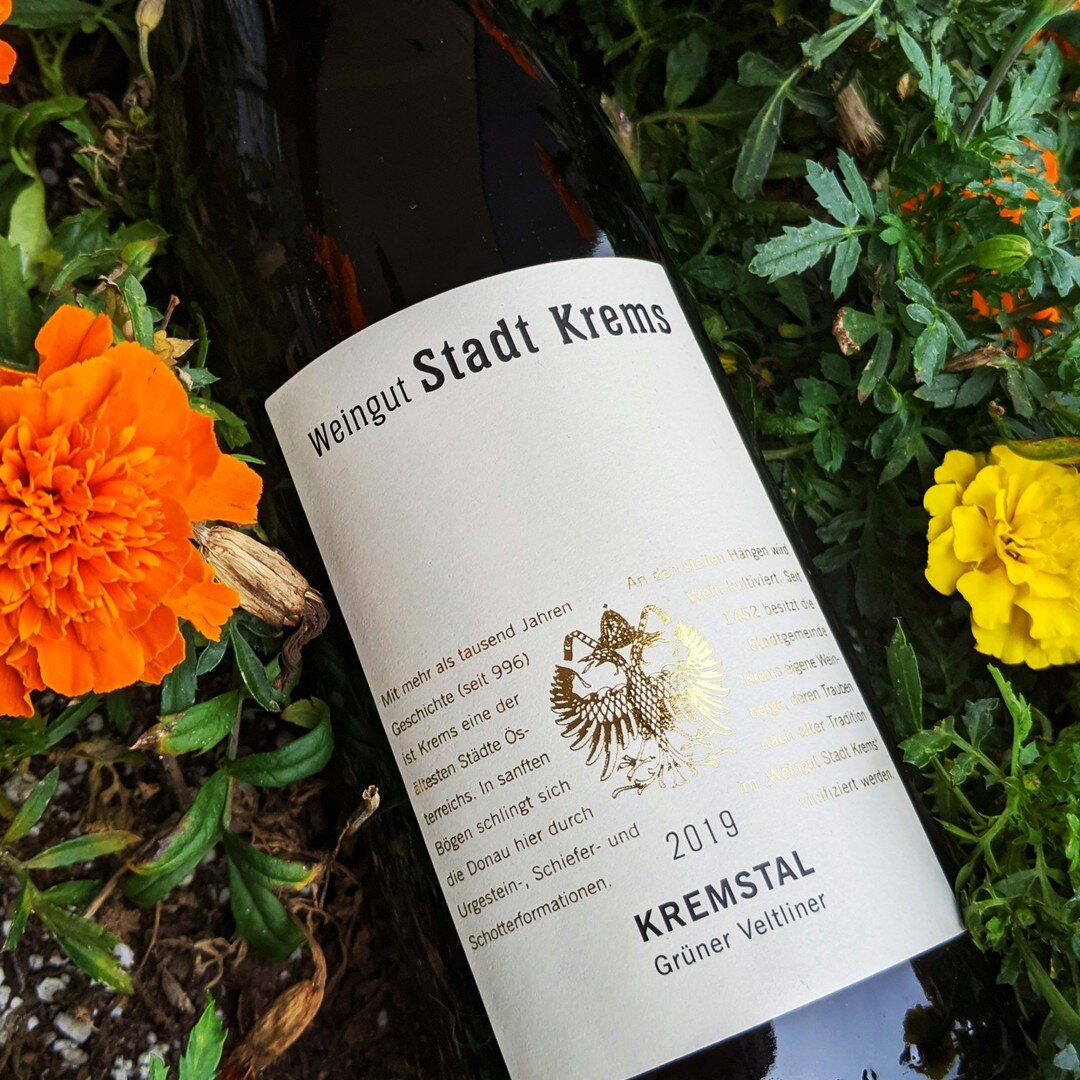 I have long been a fan of Stadt Krems Gruner Veltliner and I find myself coming back to it often. I'm a huge fan of Austria's flagship white variety Gruner Veltliner. I also love the fact that the variety works well in our cool climate Finger Lakes r