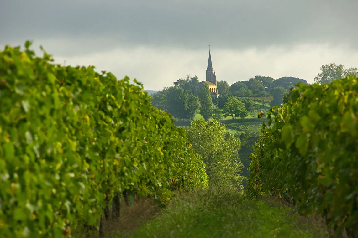 (Almost) Everything You Always Wanted to Know About Gascony But Were Afraid to Ask