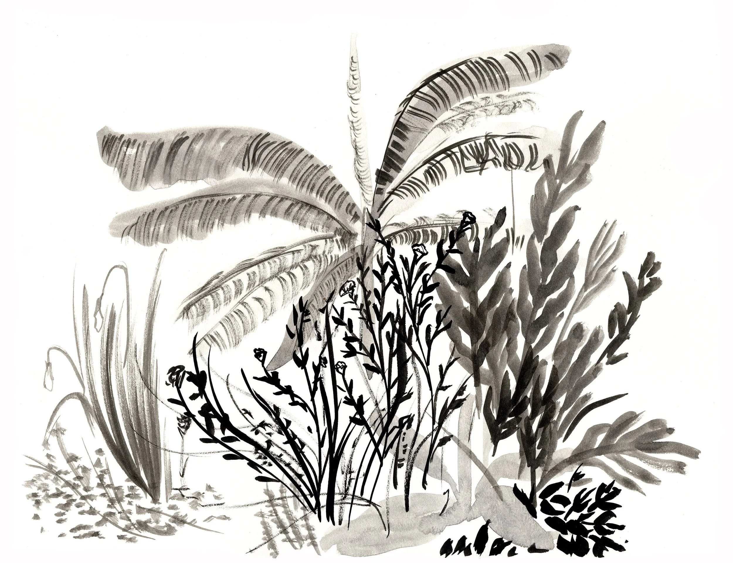 Plant-Study2.jpg