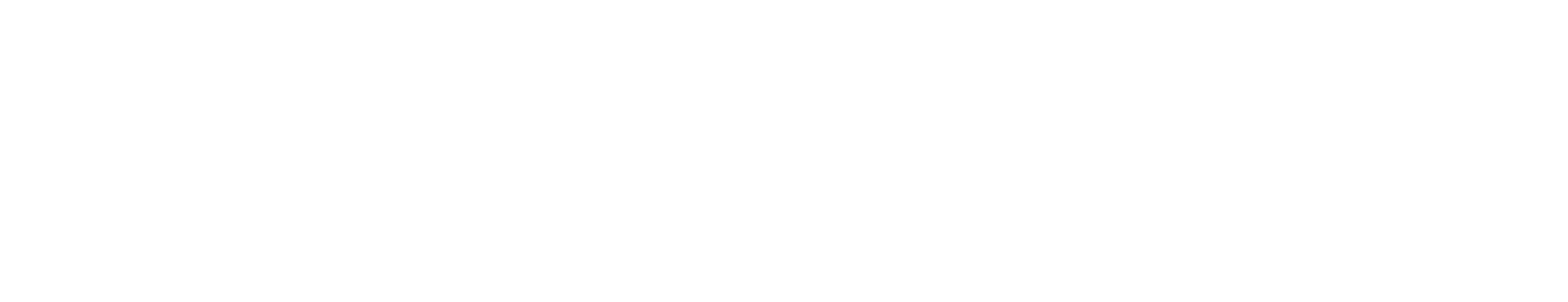 secondary-logo-white.png