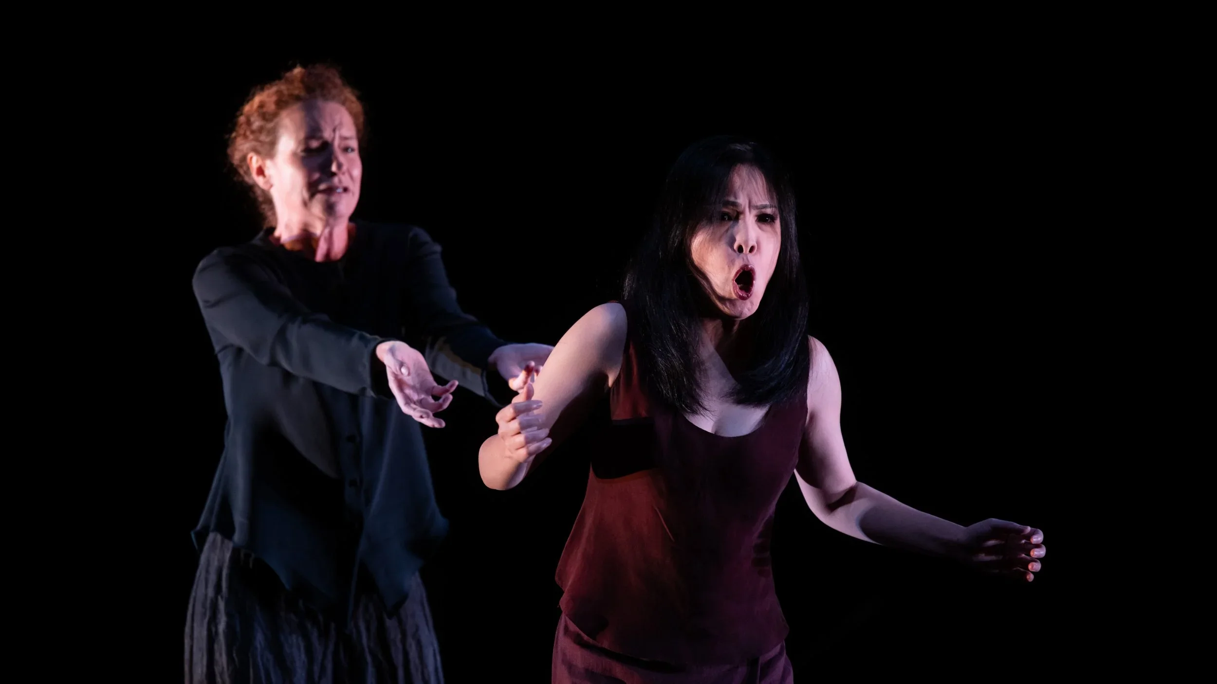 .Catapult-Opera (Advisory Board)