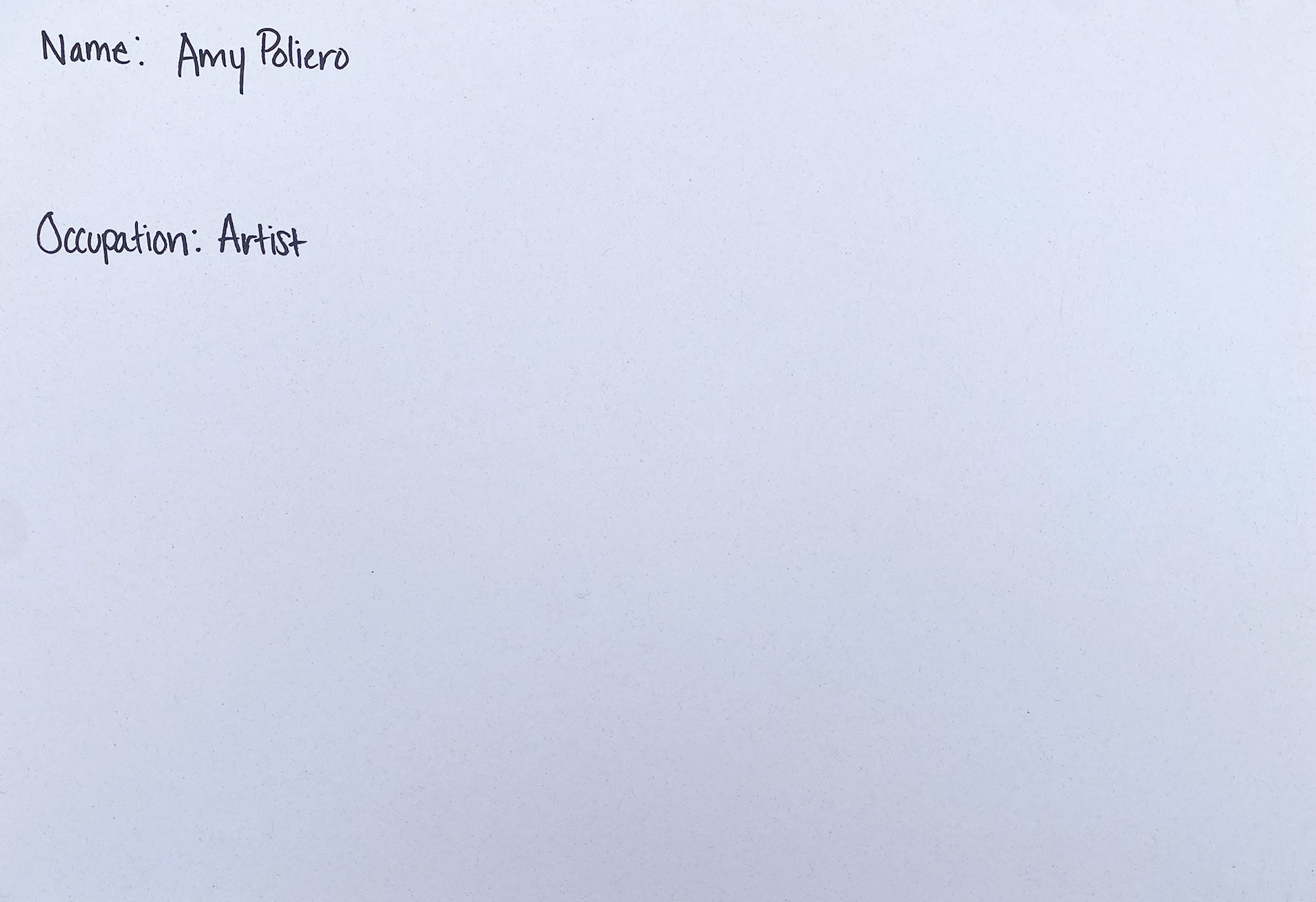 Amy Poliero, Artist