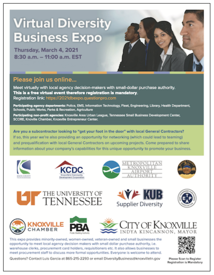 Virtual Diversity Business Expo