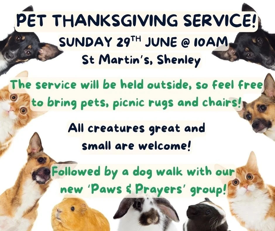 Pet Thanksgiving Service