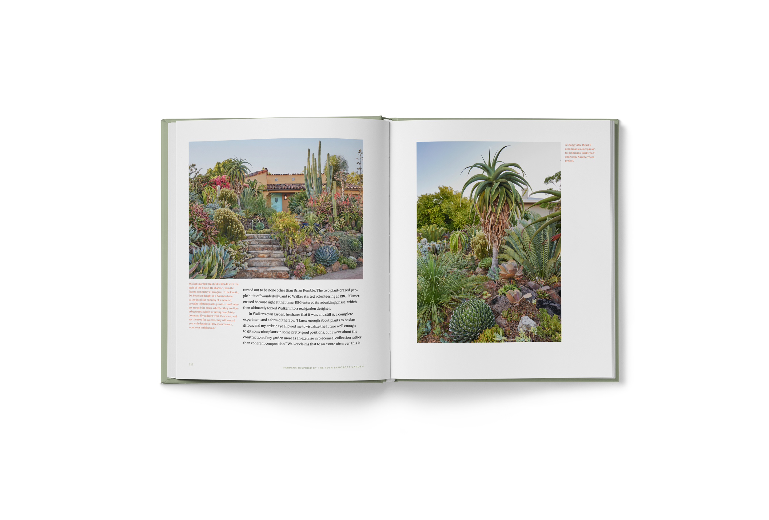 Lush_Interior-14.png