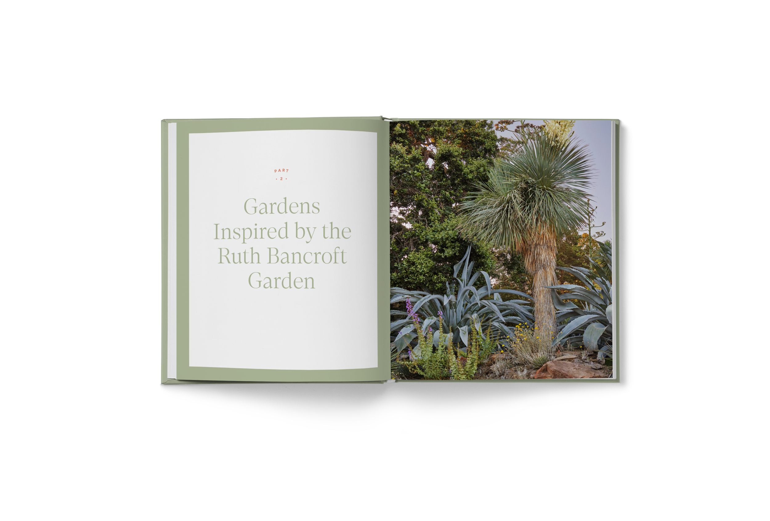 Lush_Interior-10.png