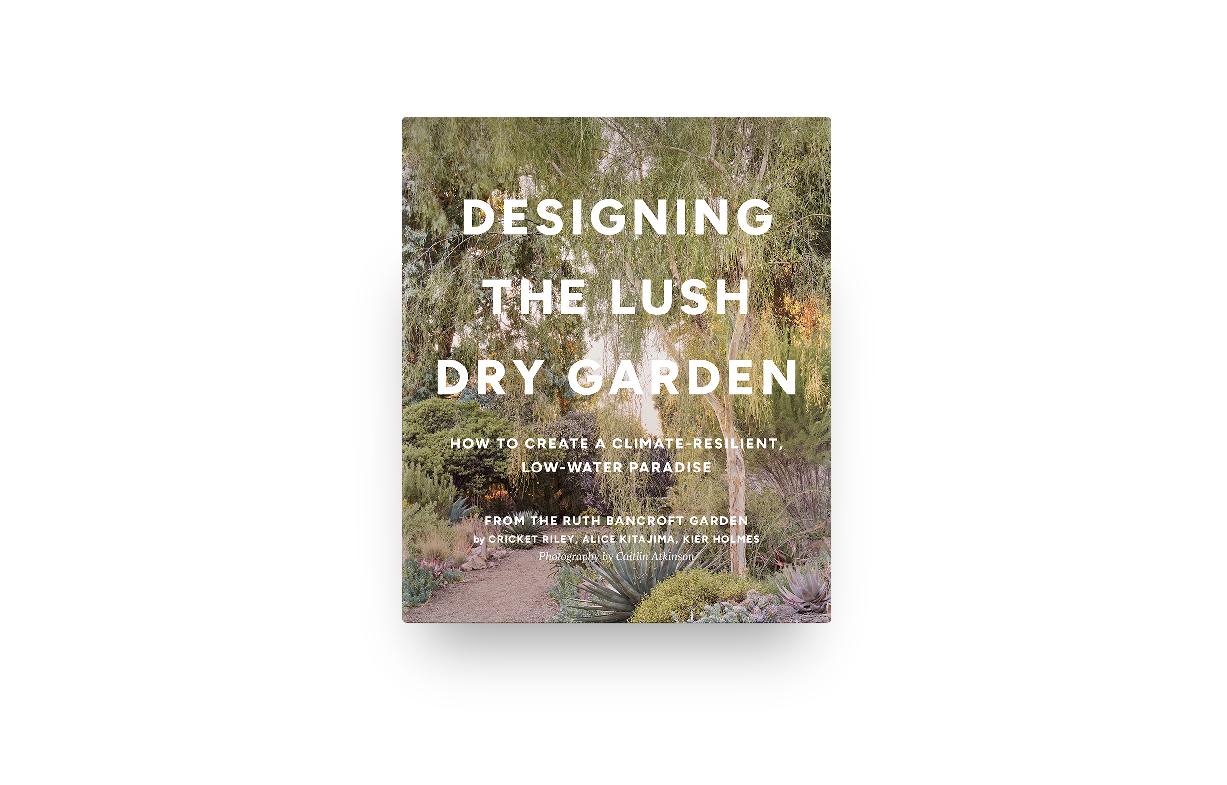 Lush-FrontCover.png