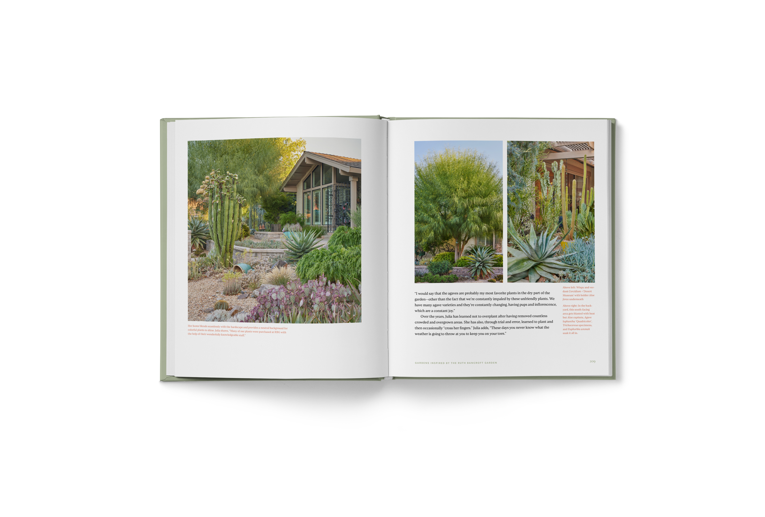Lush_Interior-12.png