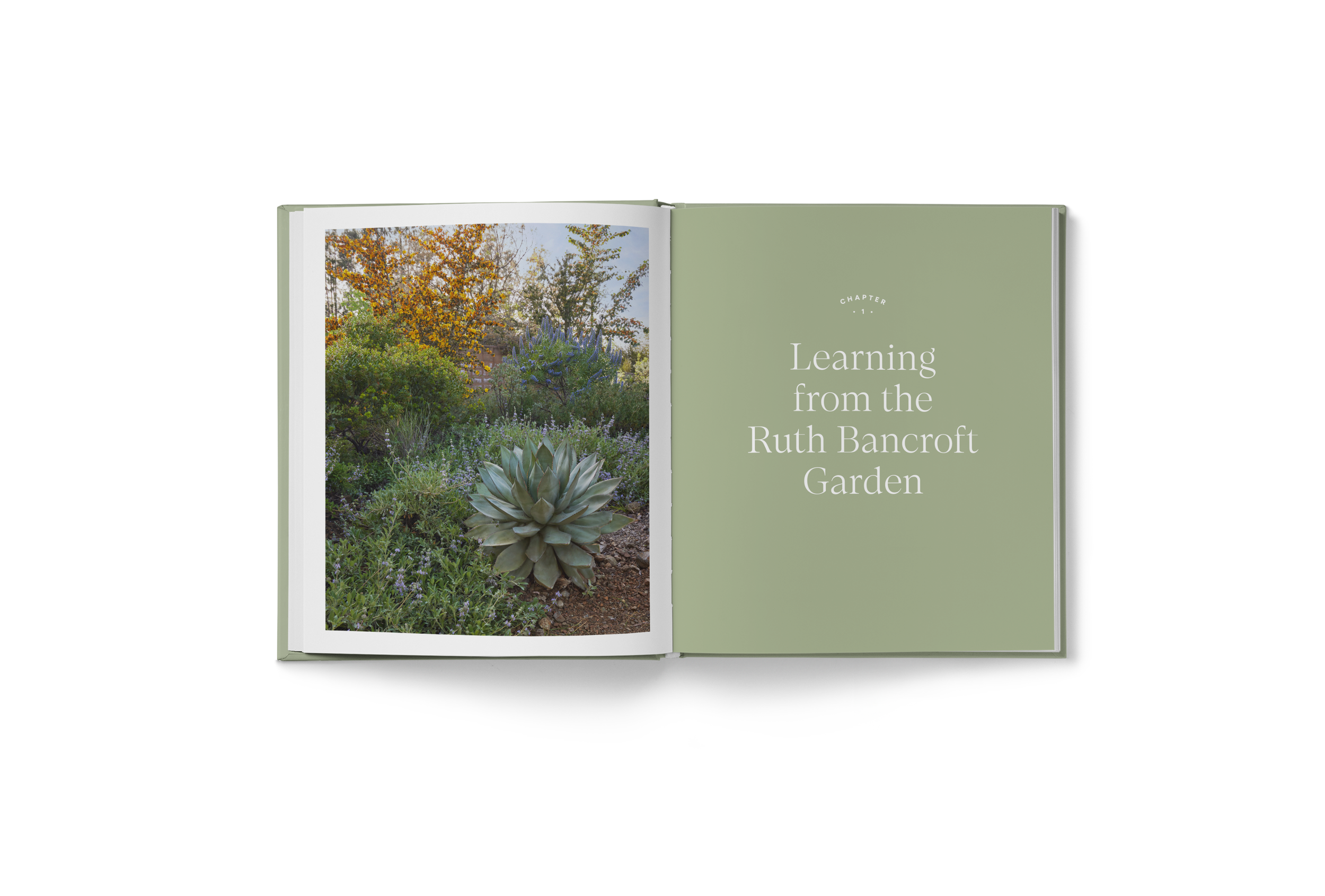 Lush_Interior-3.png