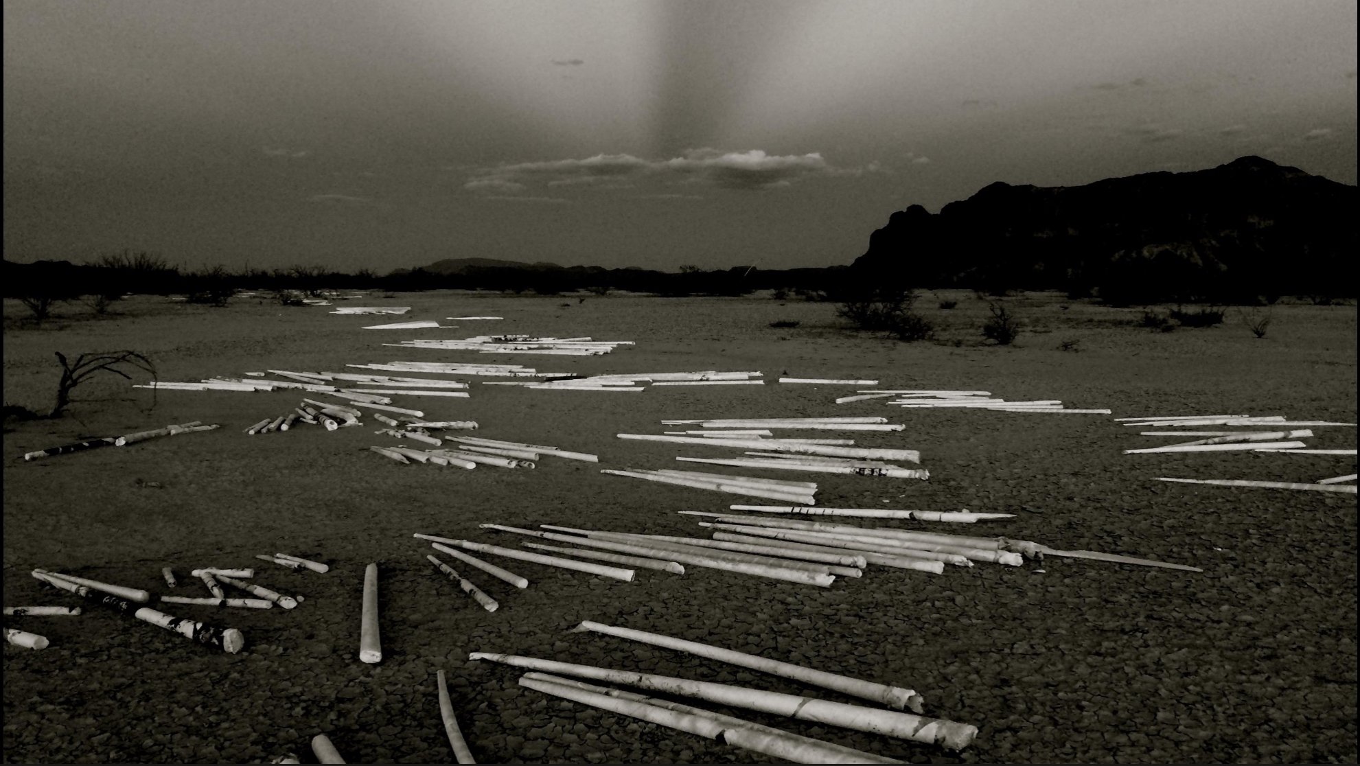 Presentations: Spring Residents