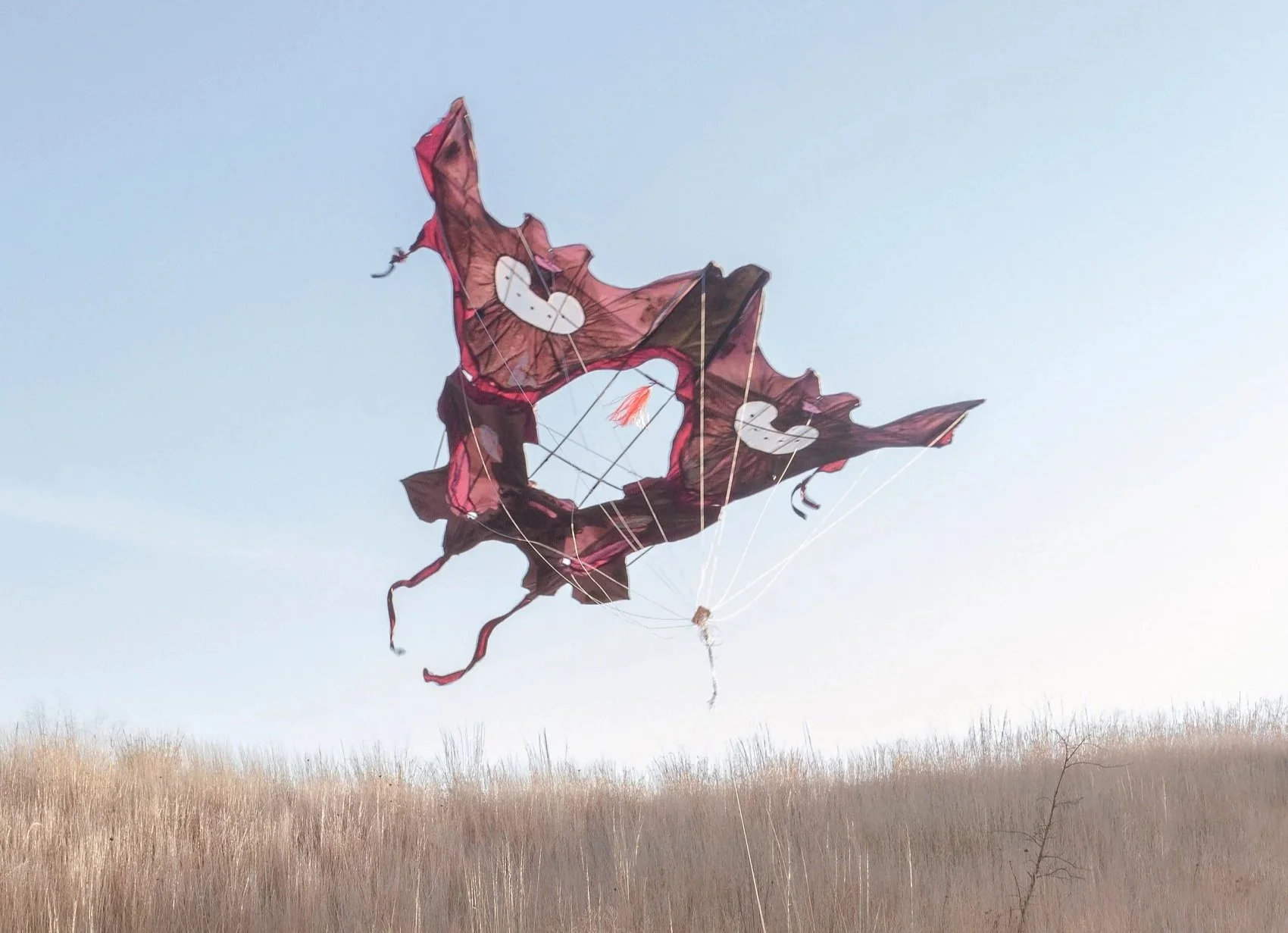 Presentations: Spring Residents