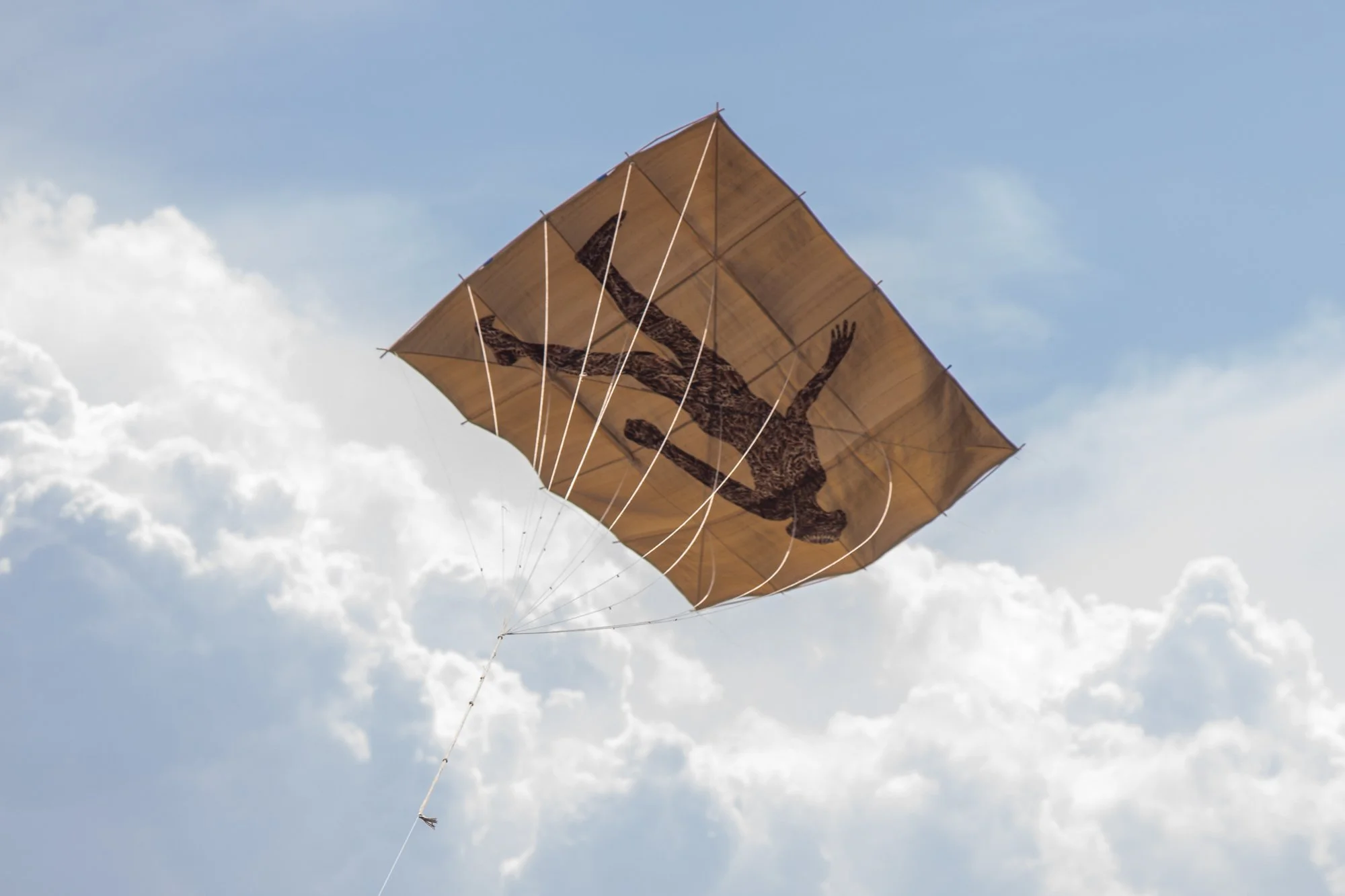 Hai-Wen Lin Presentation