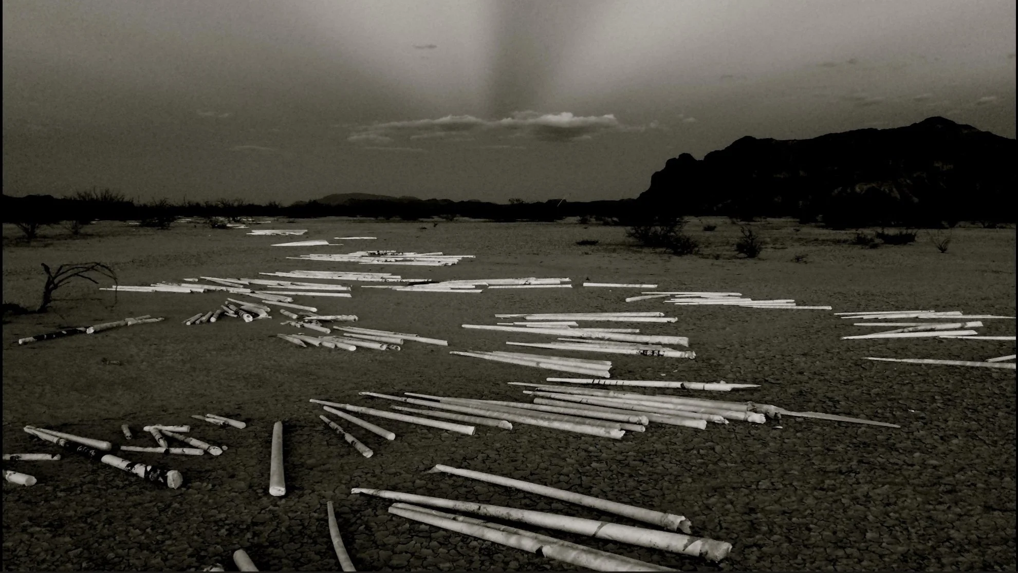 Jarrod Beck Presentation