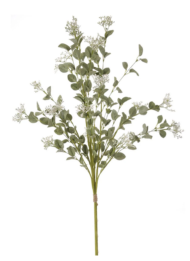 Screen Shot 2022-01-18 at 1.20.52 PM.png