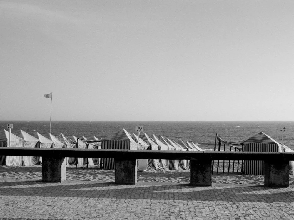 080229S1 095968.jpg