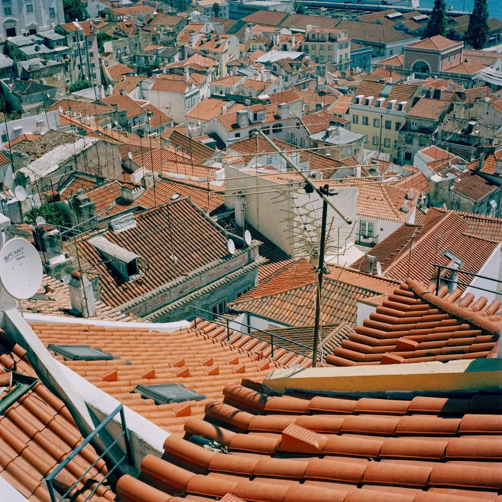 080229S1 096039.jpg