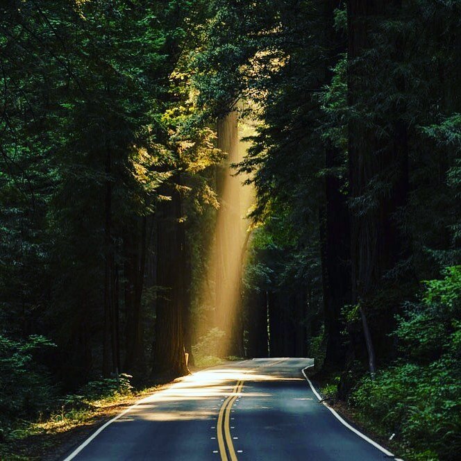 Continuous feedback loop.

All roads constantly leading to improvement.

I&rsquo;ve been asking my team this week a lot of questions through 1:1s.
The questions are letting me know what they are enjoying about the work, what they have learned in the 