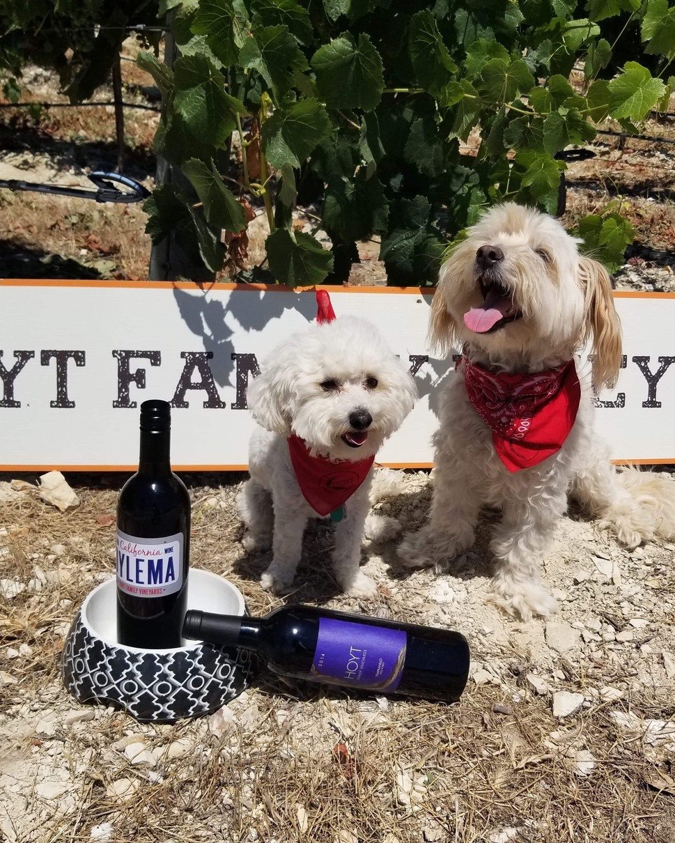 We're getting excited for @Wine4Paws Weekend! Help Support Woods Humane Society on April 20-21 by enjoying wine tasting and nibbles at our Downtown Paso Robles tasting room! Guest receive 15% off with 3 bottles or more with any purchase and an additi