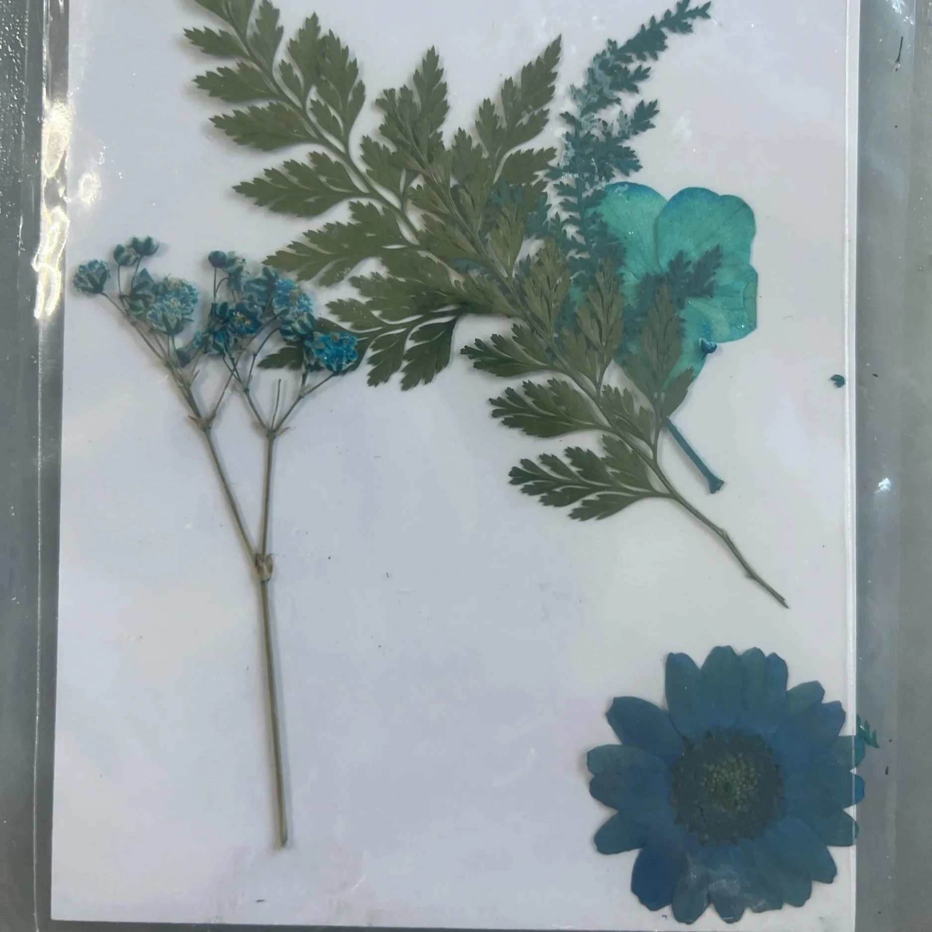 113F37A6-144B-436F-82CE-8A4FE58A85D9.jpg (Copy)