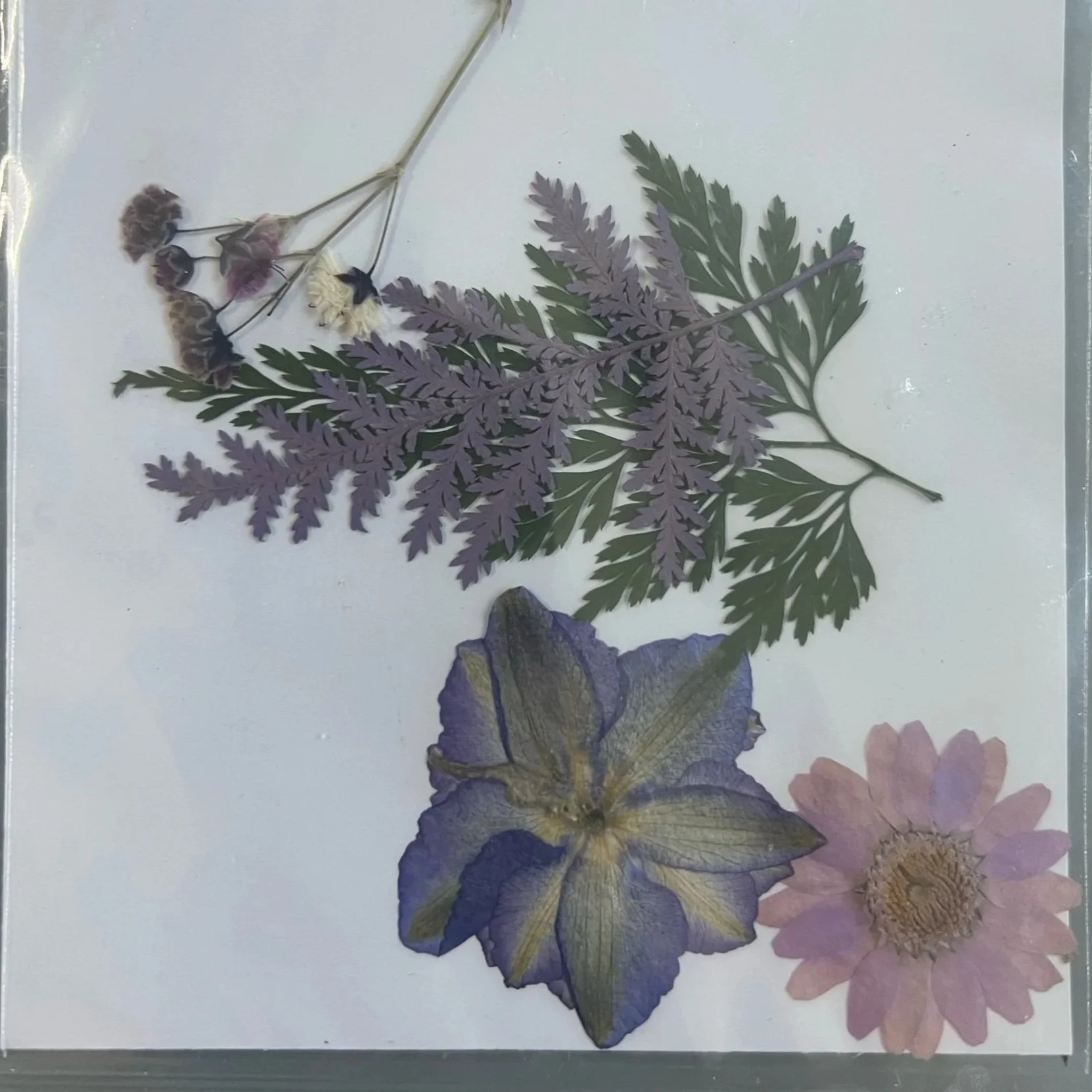 EE434B3C-B4FF-4EC0-9ECB-D9365FEC0BFC.jpg (Copy)