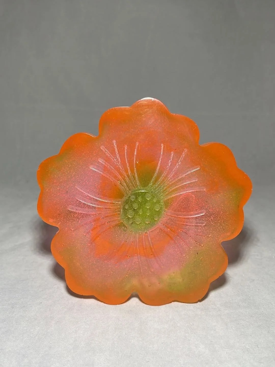 Starburst - Hibiscus Coaster