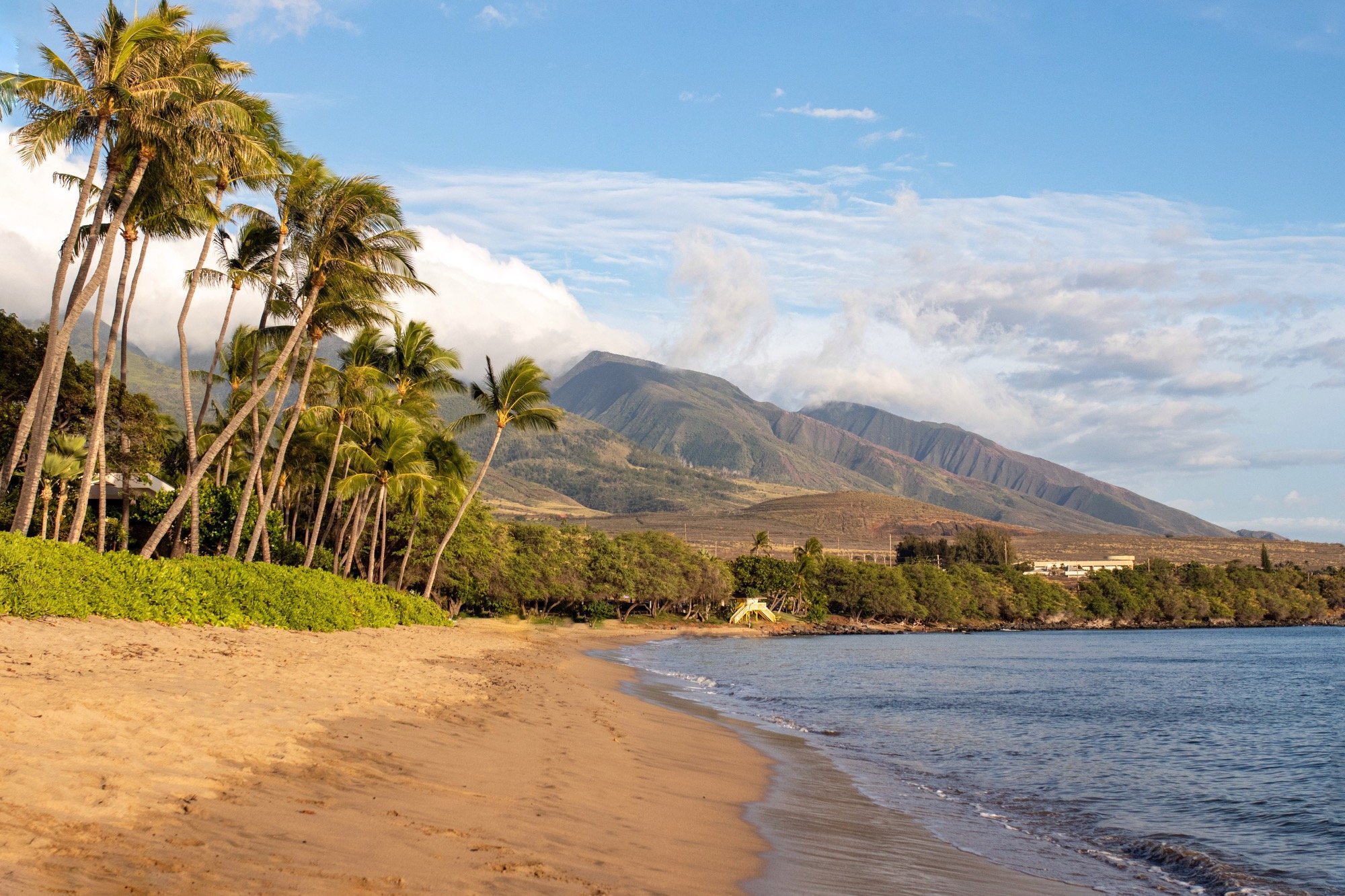 Eating Local on Maui: My Favorite Small Businesses to Support