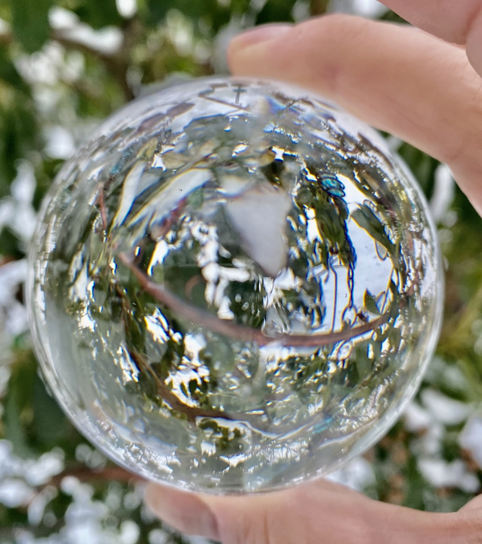 ColdMorningLensball.jpeg