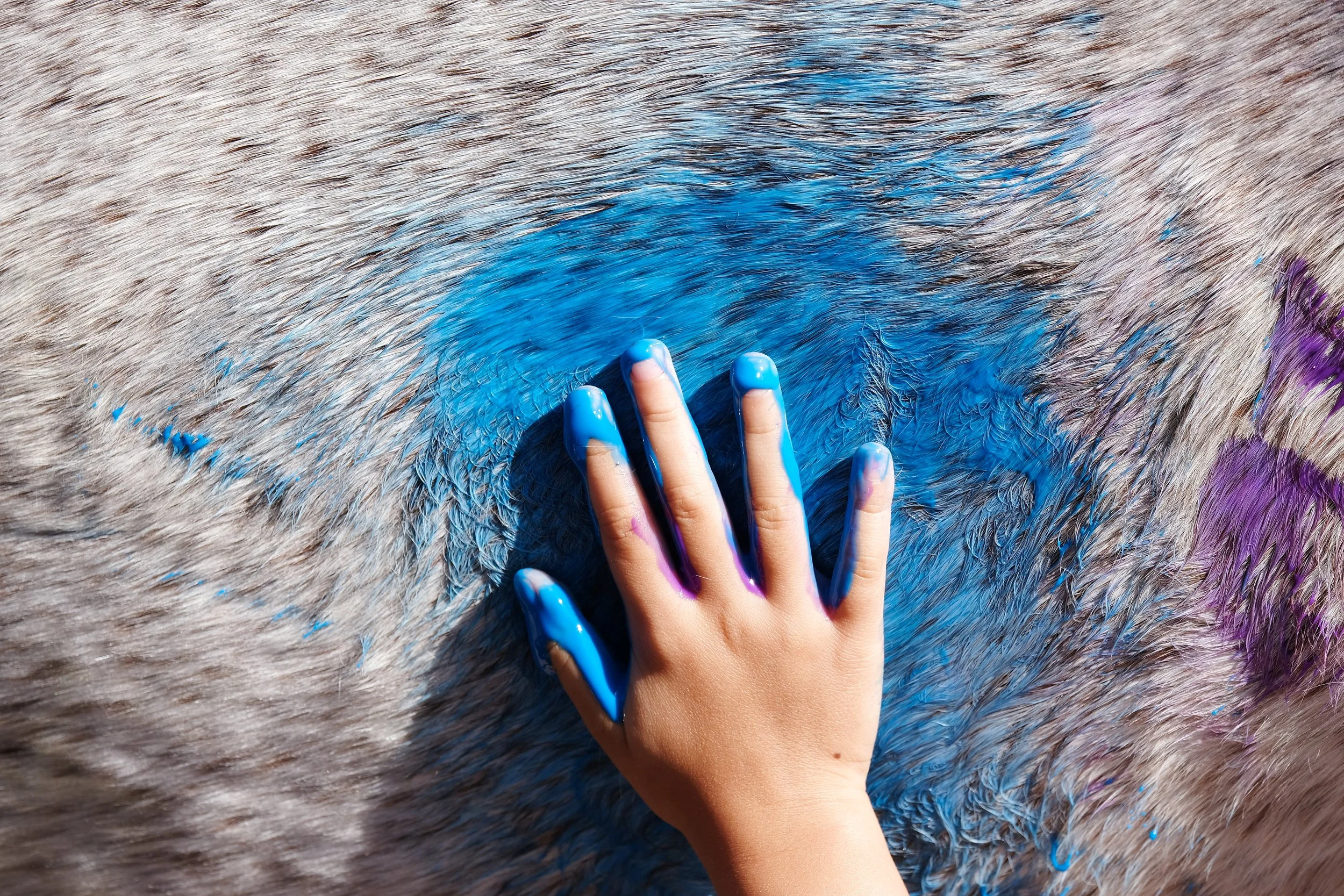 Photo Jun 30, 8 39 20 AM.jpg