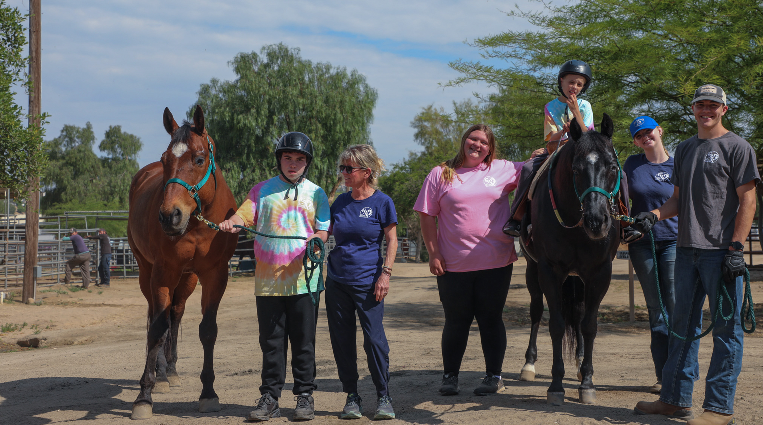 GAIT Horses Banner 3b.png