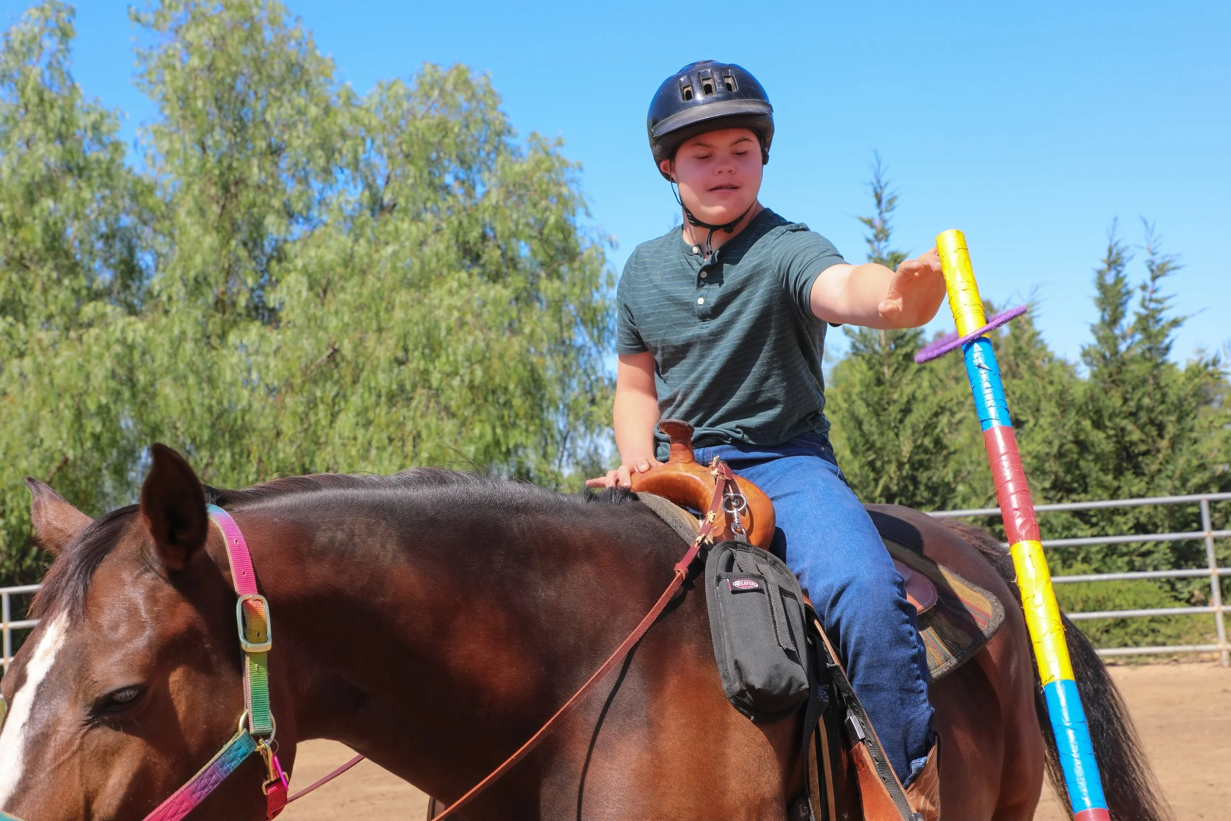 Hero Image Top of Flyer.jpg