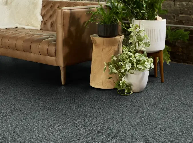 FL-Products-Quick Ship Products-Major Frequency One.webp