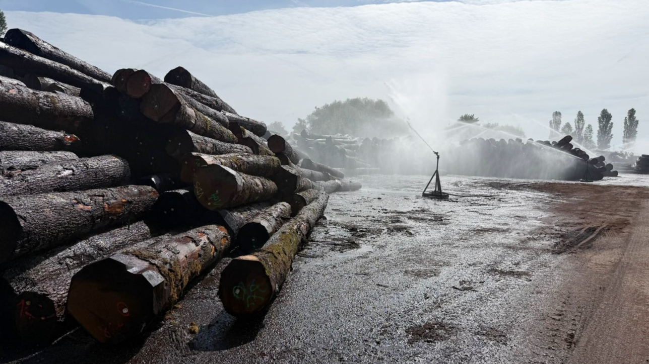 Laccy-roundwood-1288x724.png